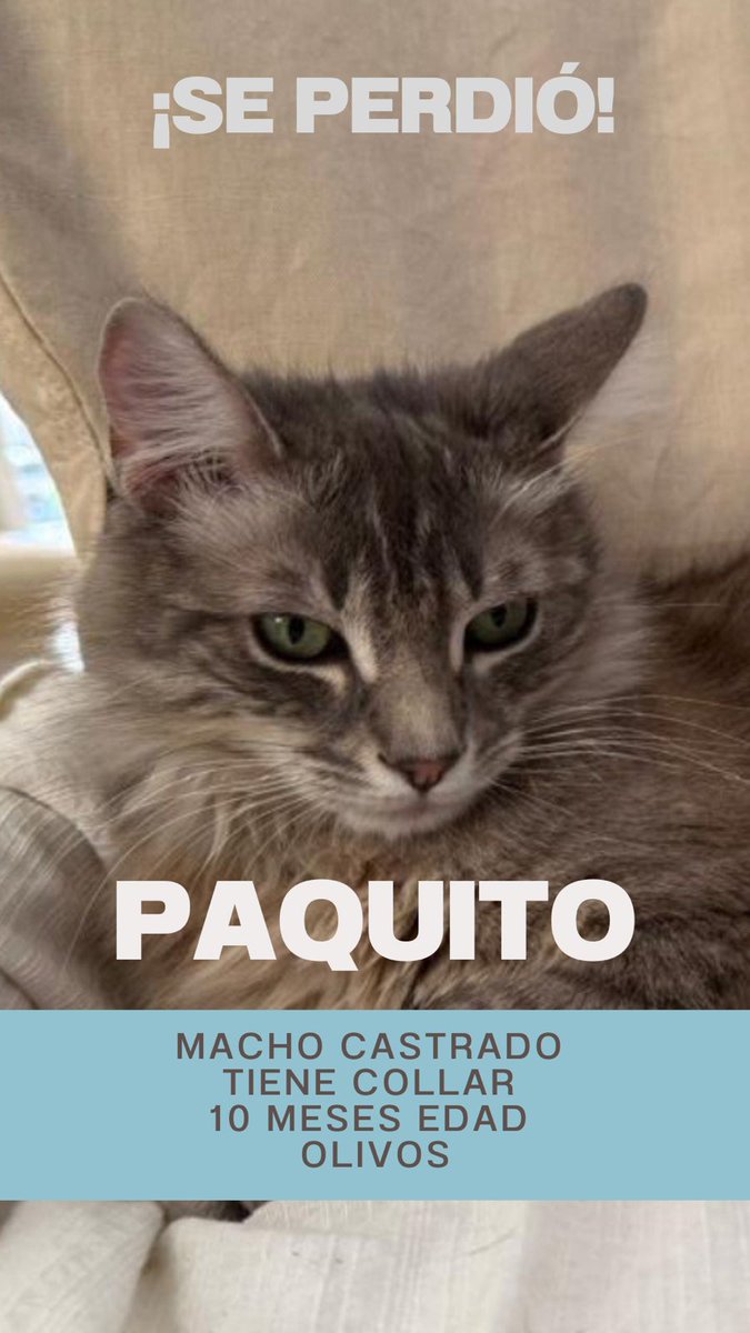 se perdió por Olivos por favor difundir