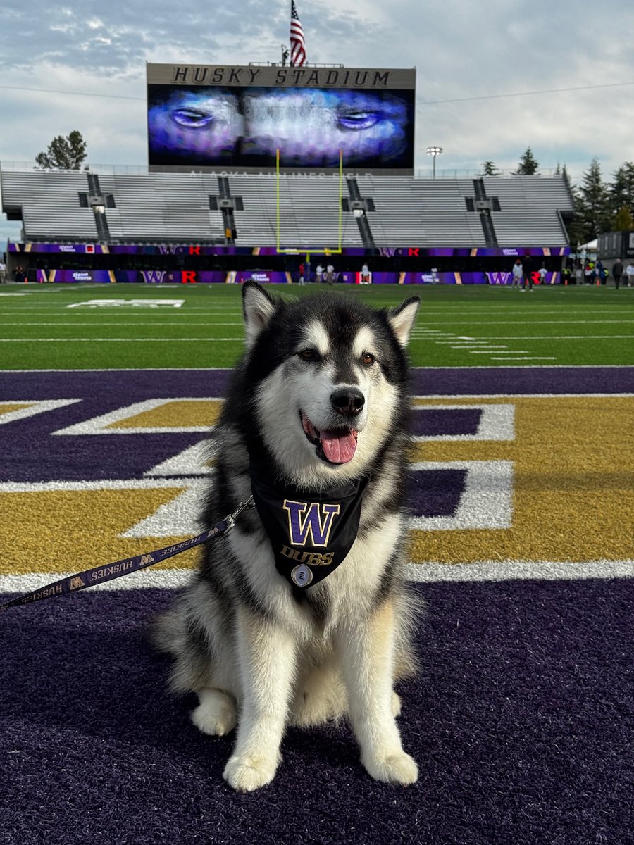 Obligatory gameday Dubs photo 💜

#GoHuskies