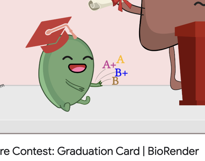 it's a shame what happened to scientific illustration

left: 1800s, Purkinje Cell, hand drawn by Santiago Ramón y Cajal

right: 2025, created in BioRender