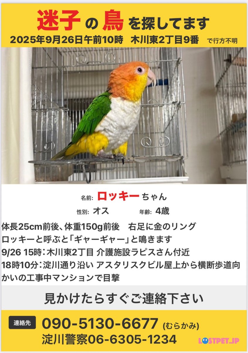 torimura (@whONdukL7D58492) / Posts / X