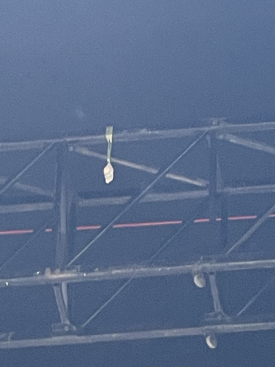 Not the ChappelLabubu