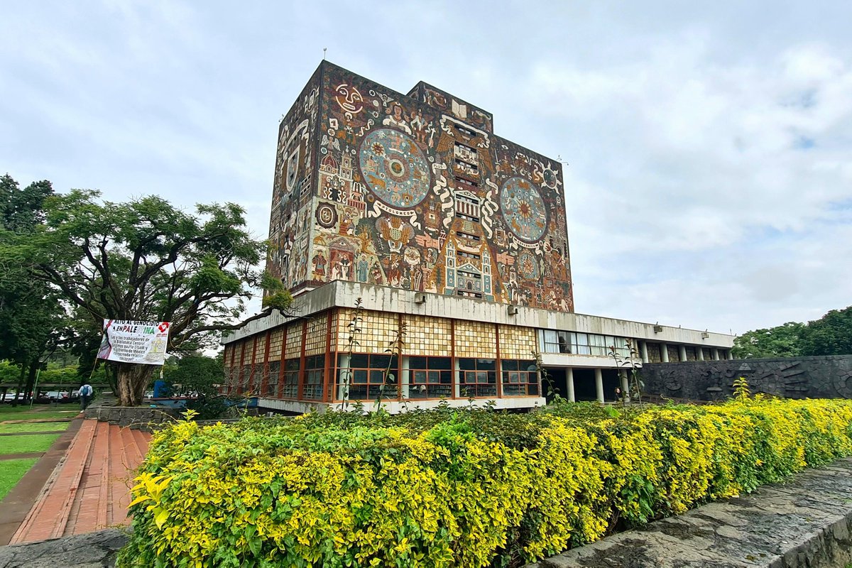 Sergio Manrique tweet media