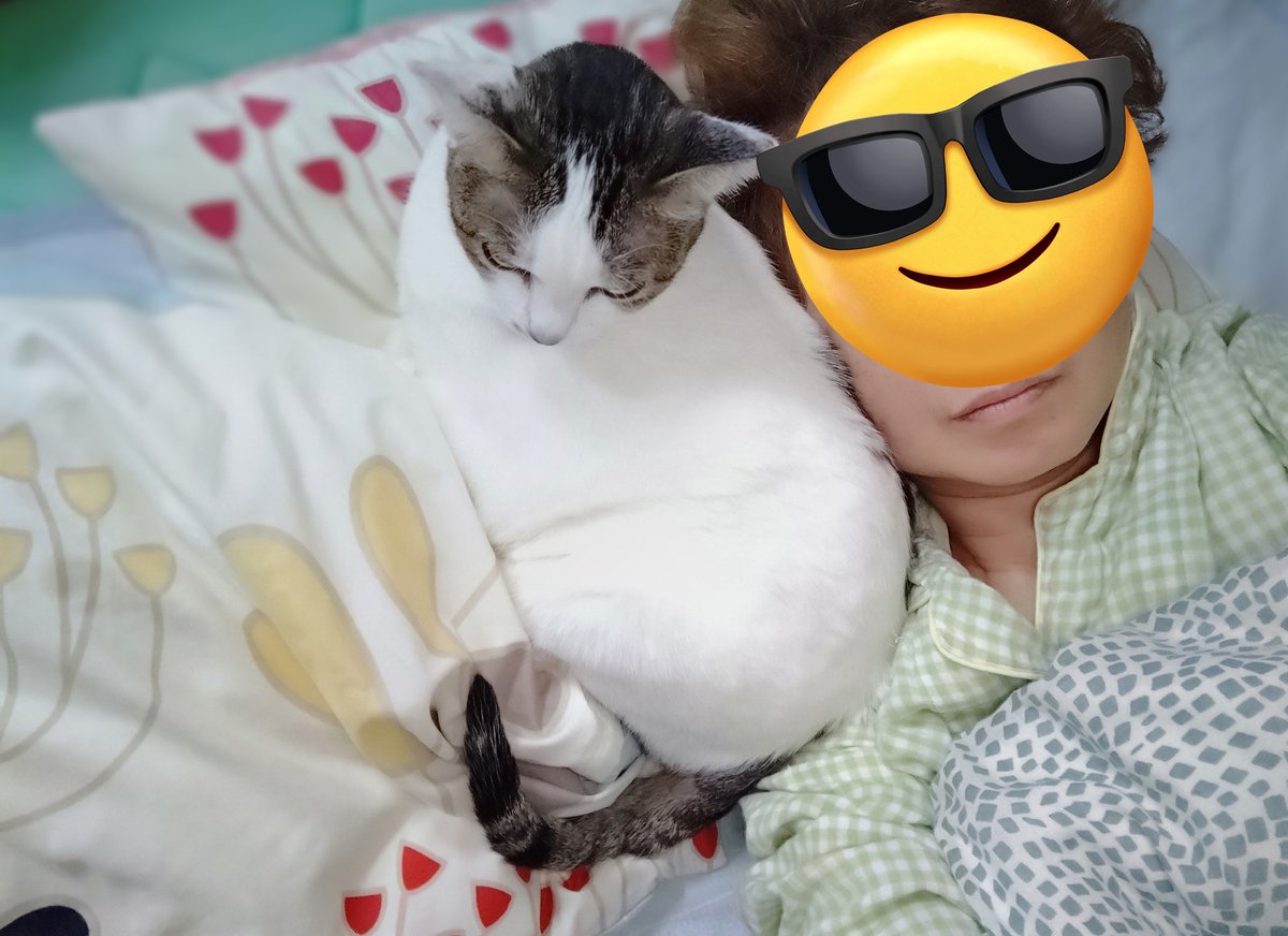 も1つ枕あるのに同じ枕に寝に来る😸