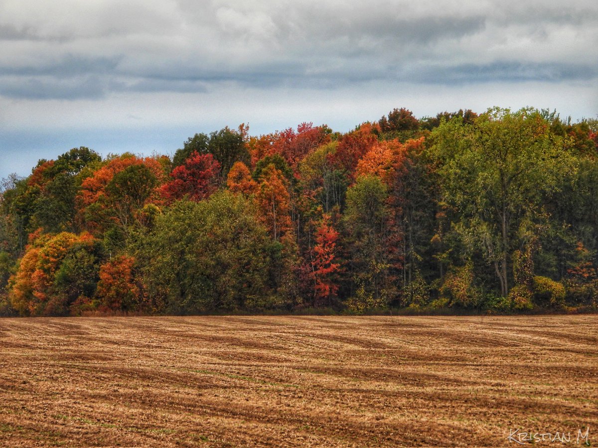 MrCumulonimbus's tweet image. Fall colours are starting to shine outside of Grand Bend. Peak colours aren't that far off.
@JulieCTV @KMacTWN @Lyndsay_CTV @MurphTWN
#ShareYourWeather #StormHour