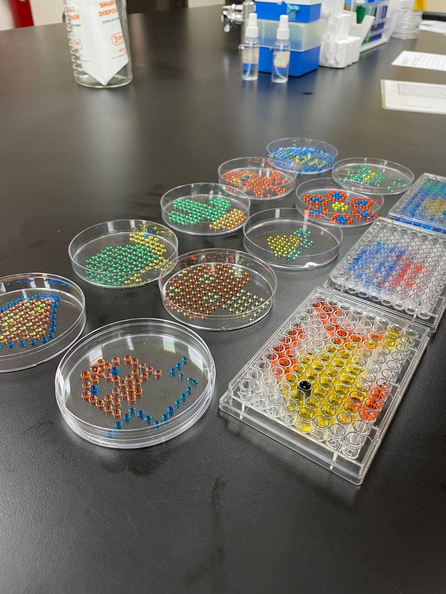 SACNAS_InterAgu's tweet photo. Taller de Micropipetas 🧪🩵

Durante el día de hoy se llevó a cabo nuestro primer taller del semestre 2025-2026, donde nuestros miembros pudieron aprender el buen manejo de la micropipeta y ponerlo en práctica 🩵🤍🧪🐯

#Sacnas #InterAguadilla #STEM #LatinxinSTEM https://t.co/iadeiB9OWu