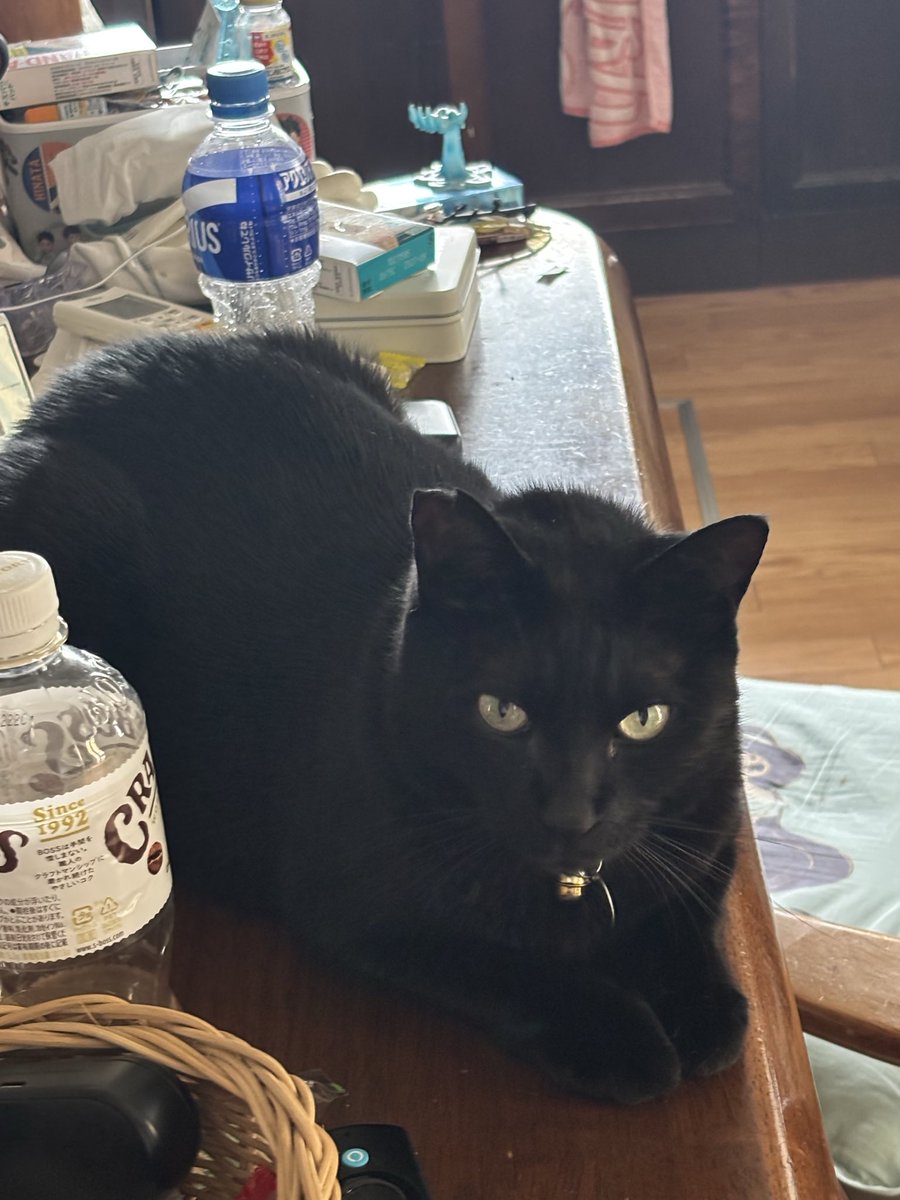 あの、グリムさん
くつろいでいるとこ悪いんですけど
そこにいると
朝食食べれませんので
どいていただけないでしょうか？