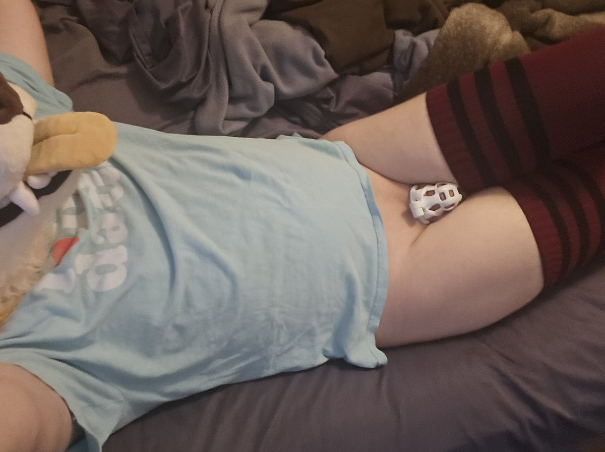 Gotta break in the new cage~