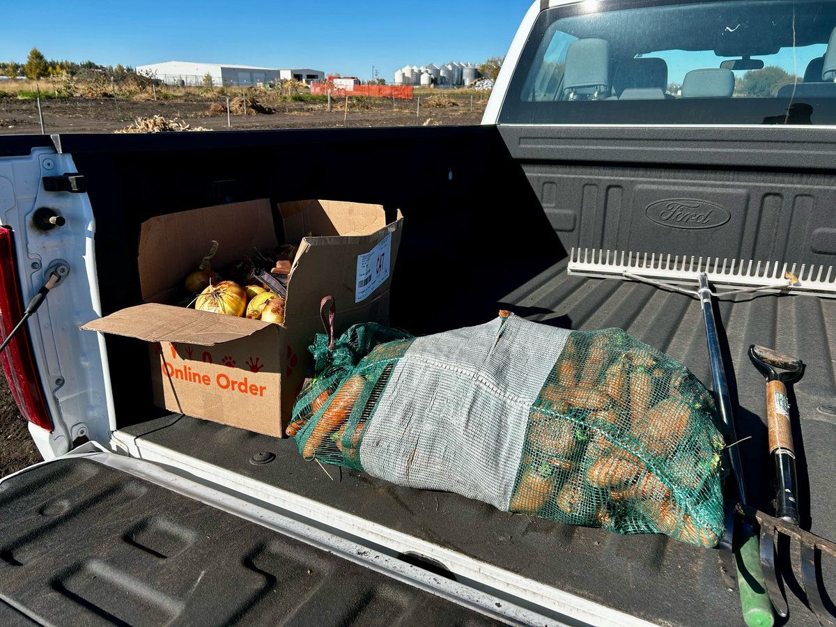 Jack Payne tweet media