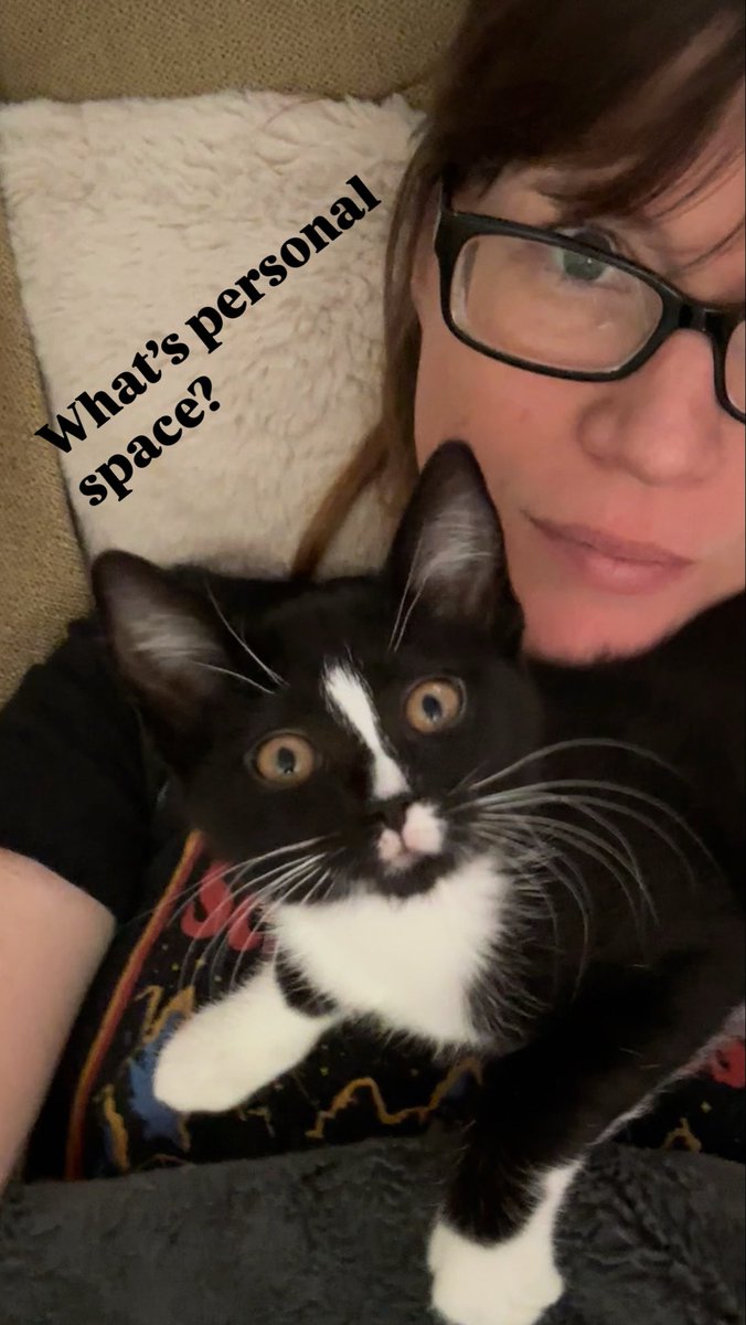 TRexyXO (@trexyxo) on Twitter photo 