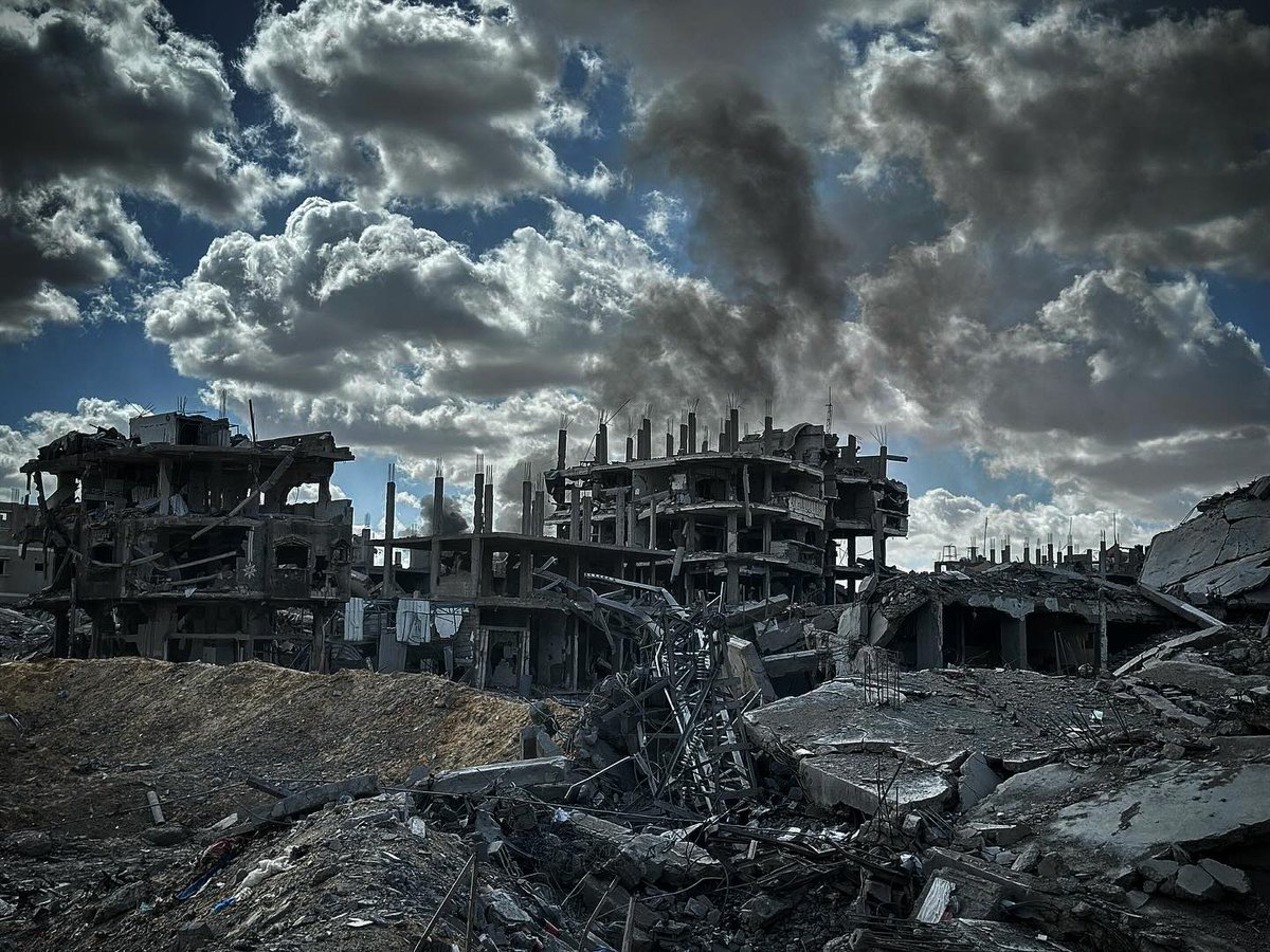 TIMES OF GAZA tweet media