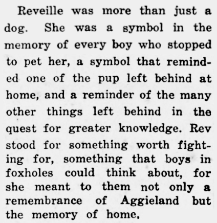 Sue Owen tweet media