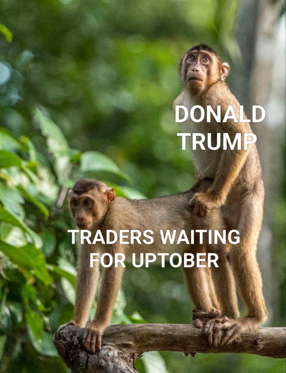 PohlMario's tweet photo. https://t.co/vhaOCc4uyn