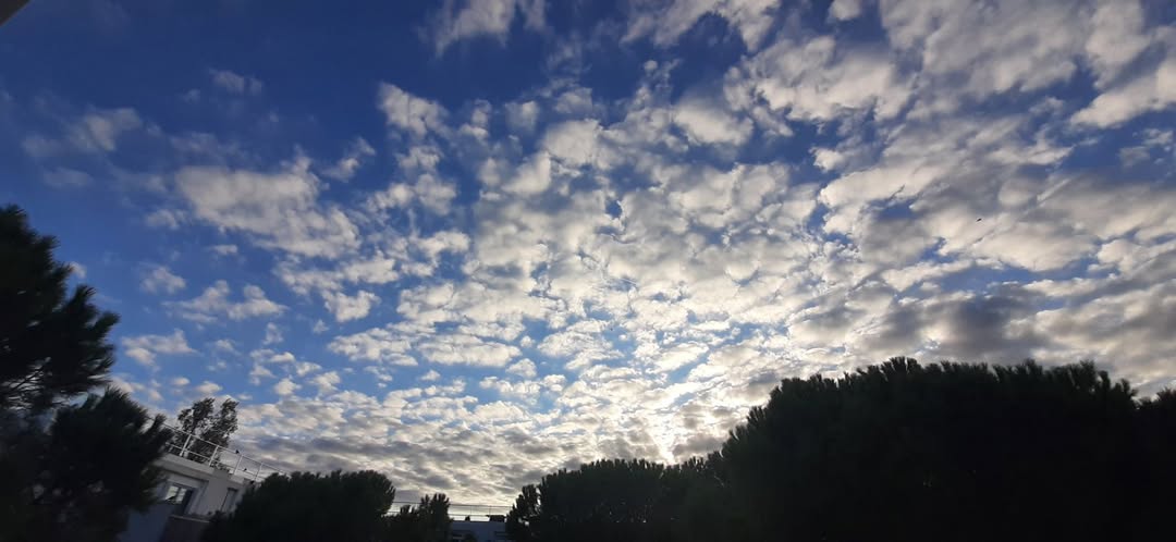 LaMeteodu34's tweet photo. ➡️ SAMEDI 11
#meteo34

Journée très ensoleillée dans un ciel parfaitement bleu 

Mistral soufflant entre 20 et 40km/h sur le tiers E du Département le matin,ailleurs vent variable et faible puis mise en place des brises partout l'après-midi ne dépassant pas 30km/h

🌡️Tx 26 à 27°C https://t.co/sg5ilNBosu