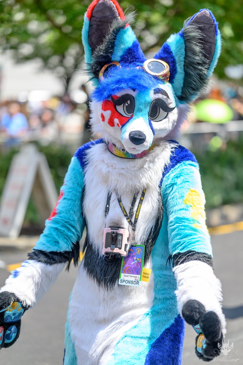 SplatFennec's tweet image. Friday 
Photo by noodlelunar