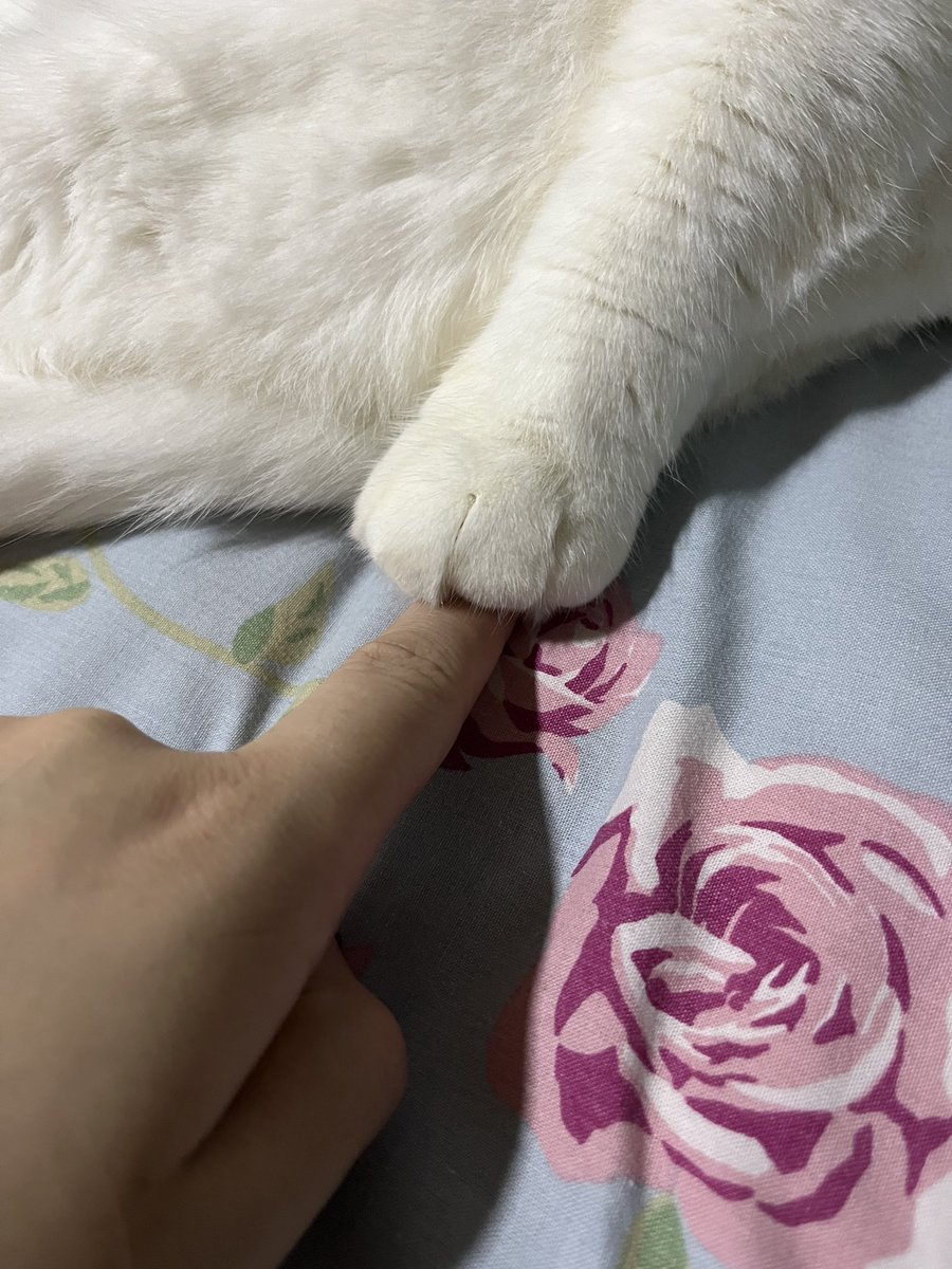 anamla temas edmeden duraman gusum