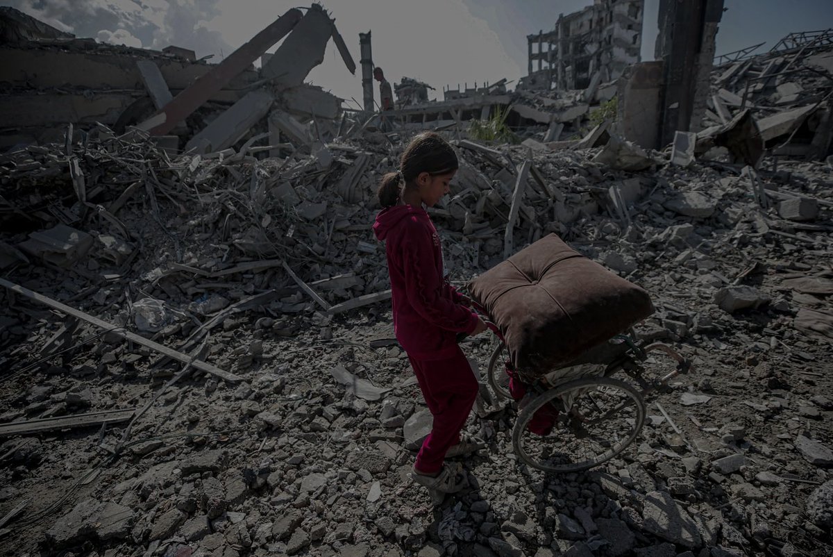 TIMES OF GAZA tweet media