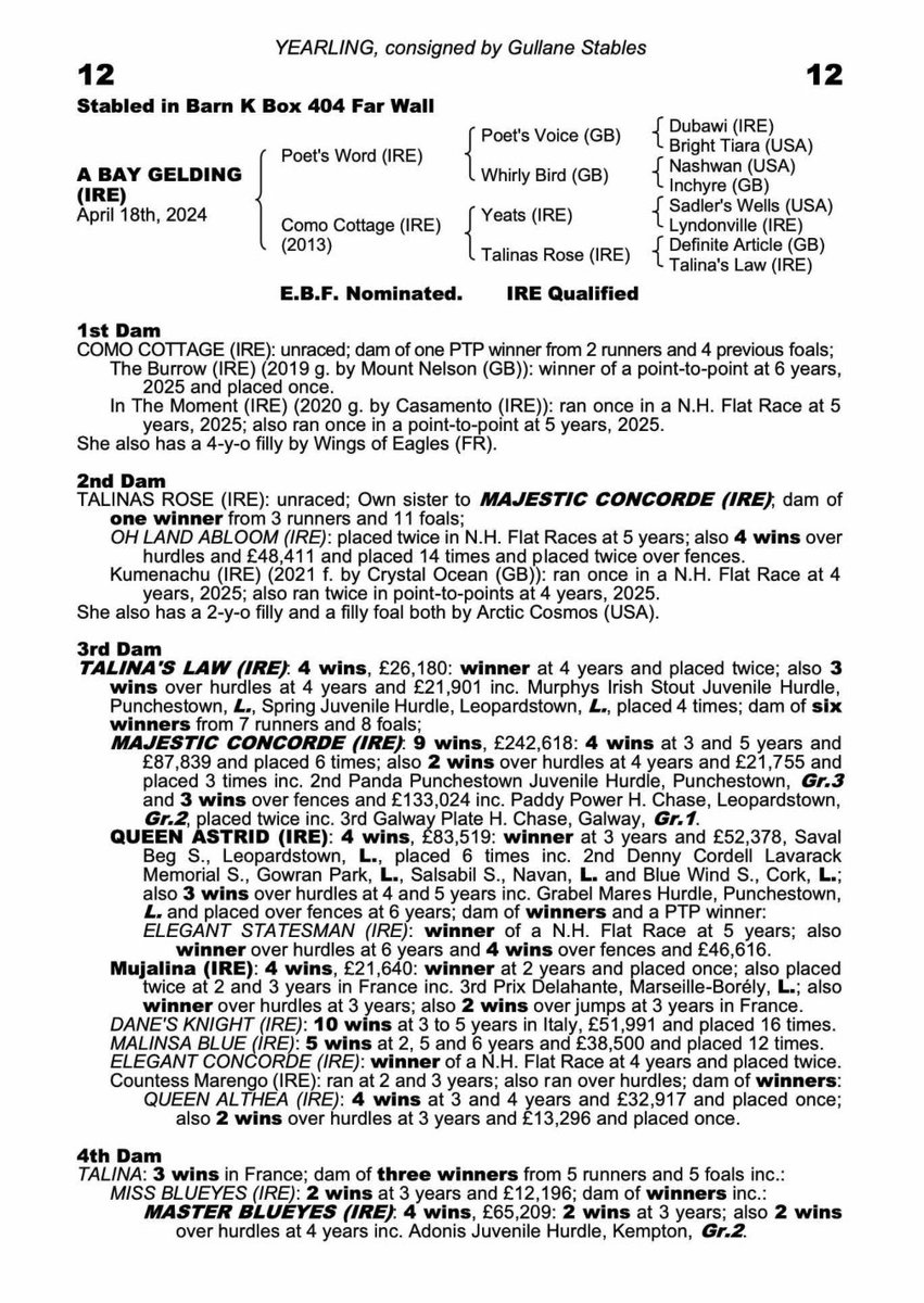 Gullane Stables tweet media