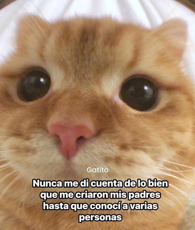 Nasty Poet (@nxstypxet) on Twitter photo 