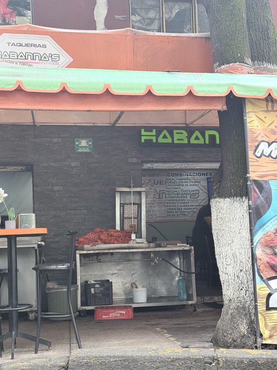 Tlalpan Vecinos tweet media