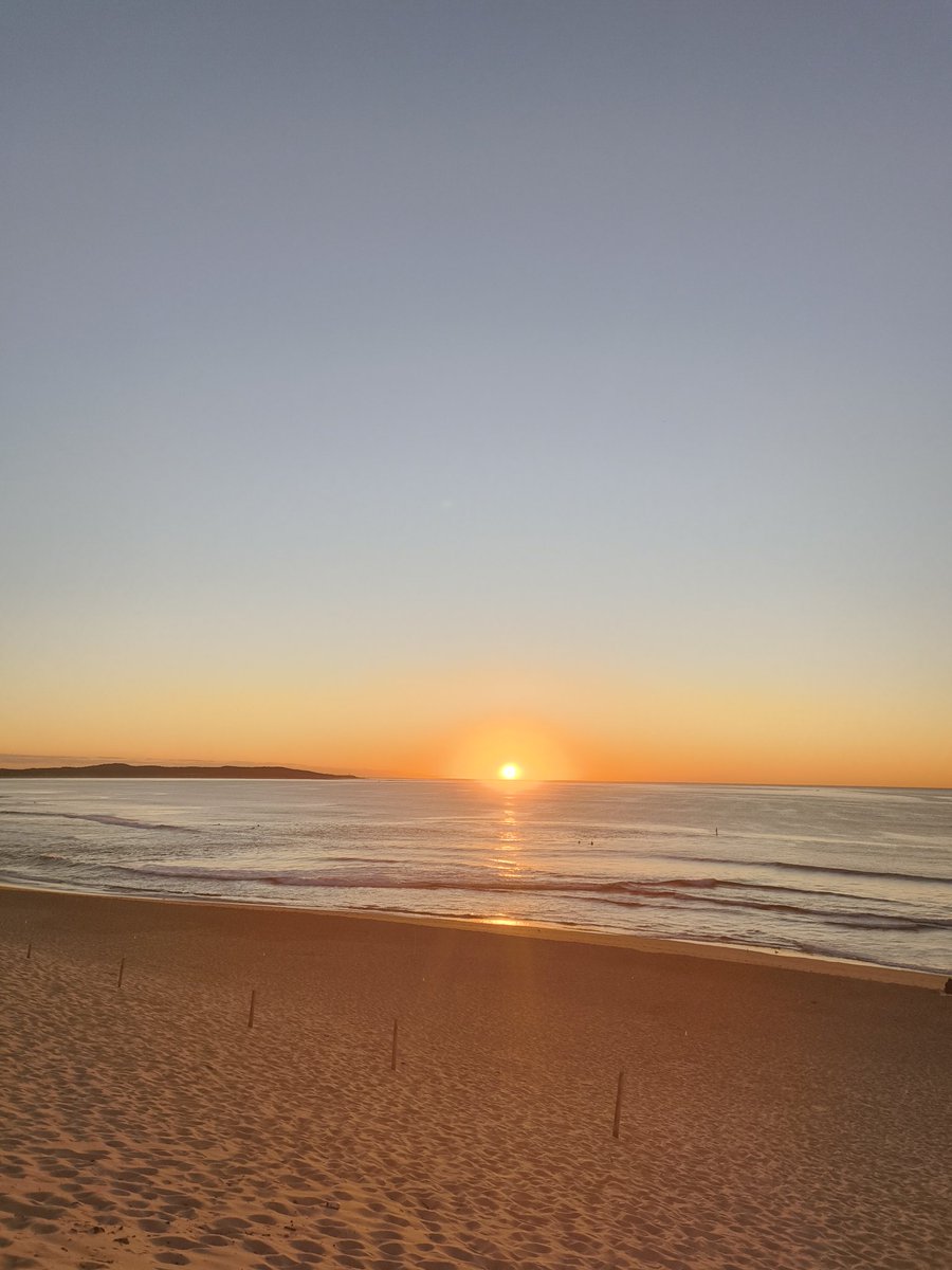 Simon Earle tweet media