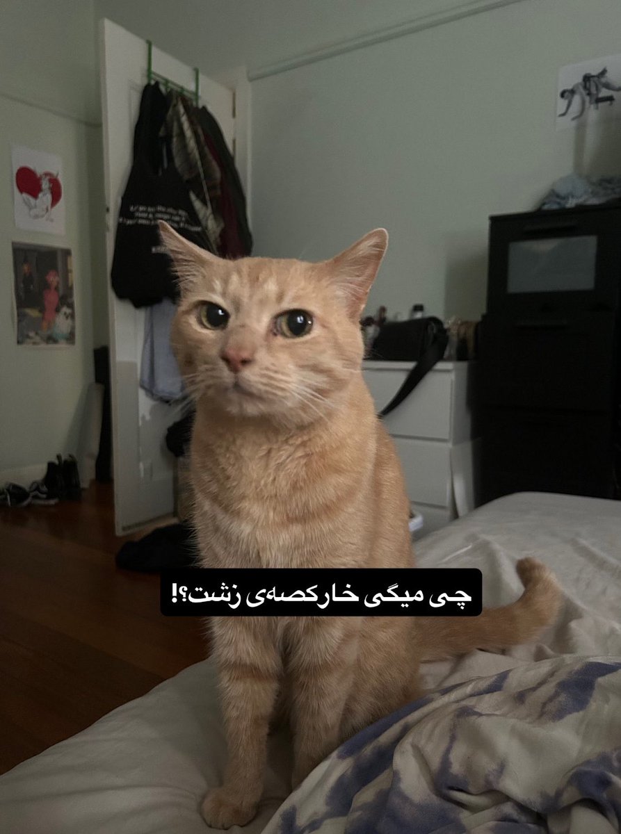 وقتی یکی صبح زود باهام حرف میزنه: