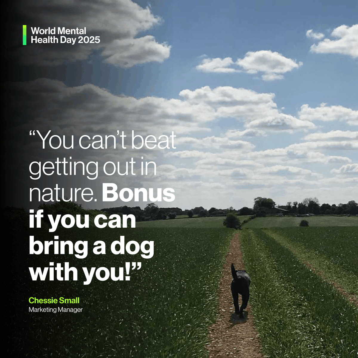 HH Global tweet media