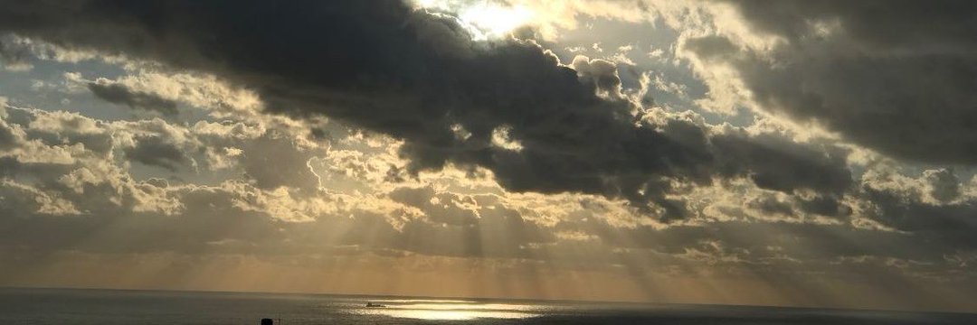 كنت دائما خارج السرب ....
لا أحد يعرف ما يدور في ذهني ....
 لا أتعمق مع أحد ؛ كأنما لي قضية أخرى وأرض أخرى ؛ وحرب لاتعني الجميع
#هيك_شي