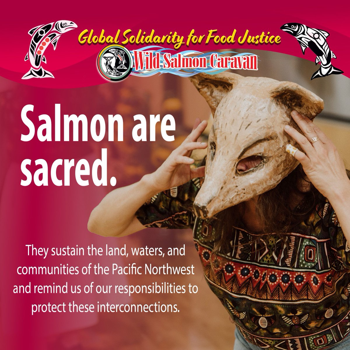 Join the Wild Salmon Caravan THIS WEEKEND in celebrating the sacred salmon and our shared responsibilities to care for the foodlands we belong to.
Follow this link for more information: wildsalmoncaravan.ca
#WildSalmonCaravan #SalmonAreSacred #IndigenousFoodSovereignty