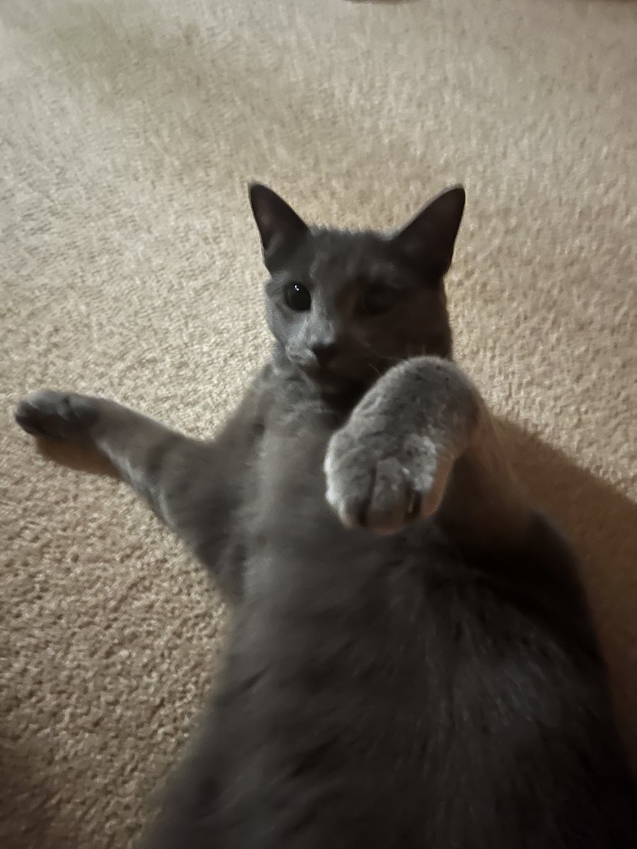 stuffymint's tweet image. Okay, who’s up for it?