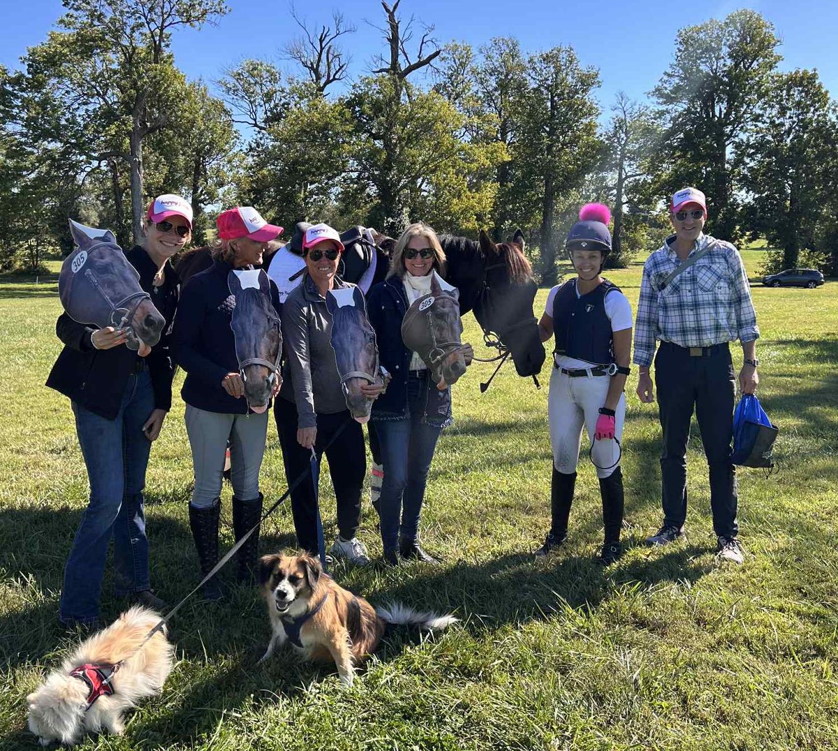 GSW Happy Farm made the <a href="/RRP_TBMakeover/">Retired Racehorse Project</a> finals in both Eventing &amp; Competitive Trail! So proud of him!! I knew he was special but it is awesome to have the judges see it too 🦄 We are so excited for finals tomorrow!