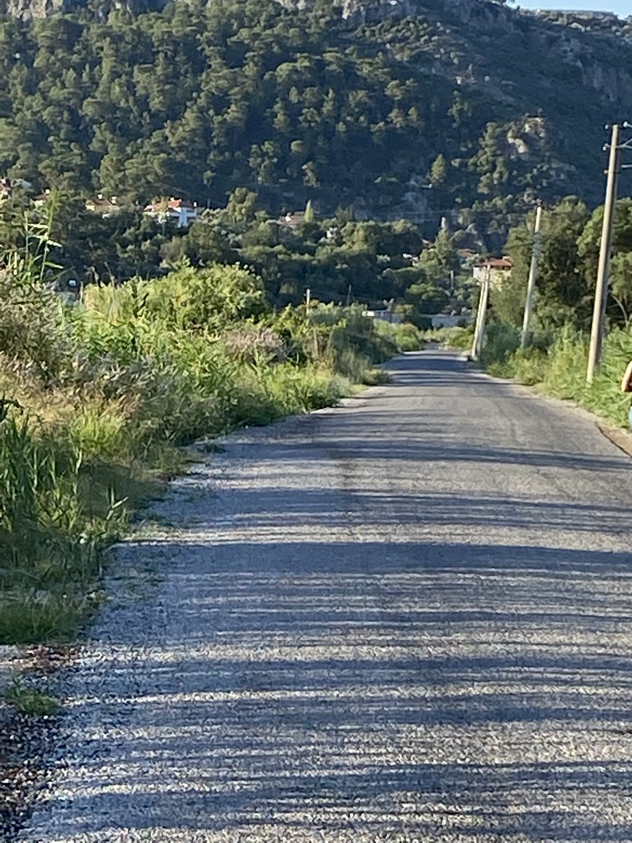yol uzun, gece kara
sevgi taşıyorum gözlerim yana yana

benim yeryüzünde
ah-ü zârım var...

Metin Altıok