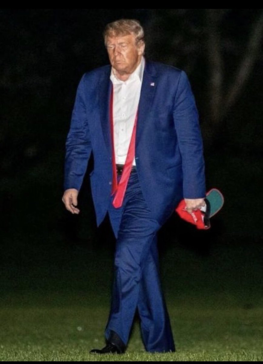 ChristineX2024's tweet image. The hardest working man on earth.