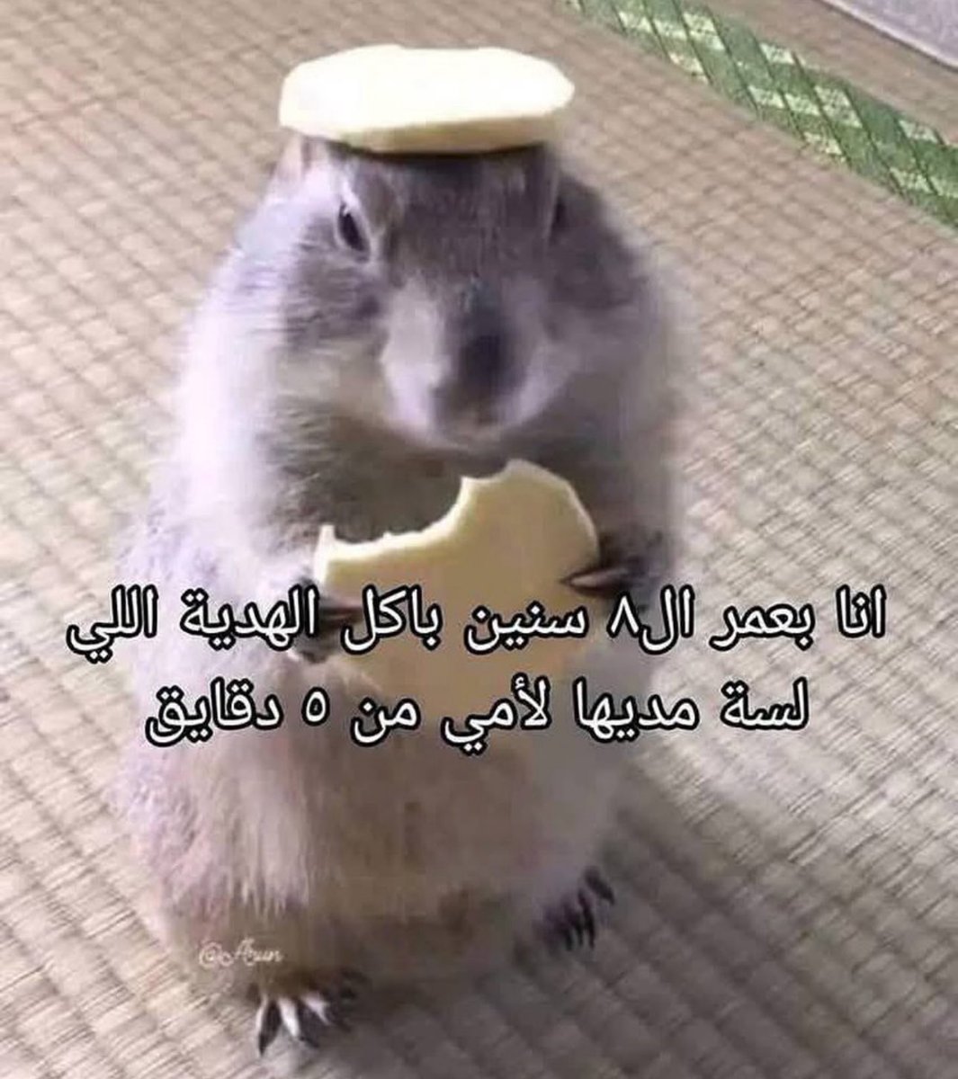 لماذا نحن هنا ؟ (@saudidadjokes) on Twitter photo 