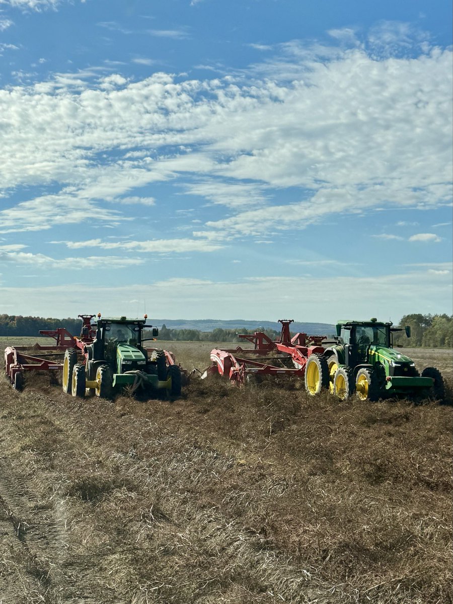 DVdZ2🇨🇦 tweet media