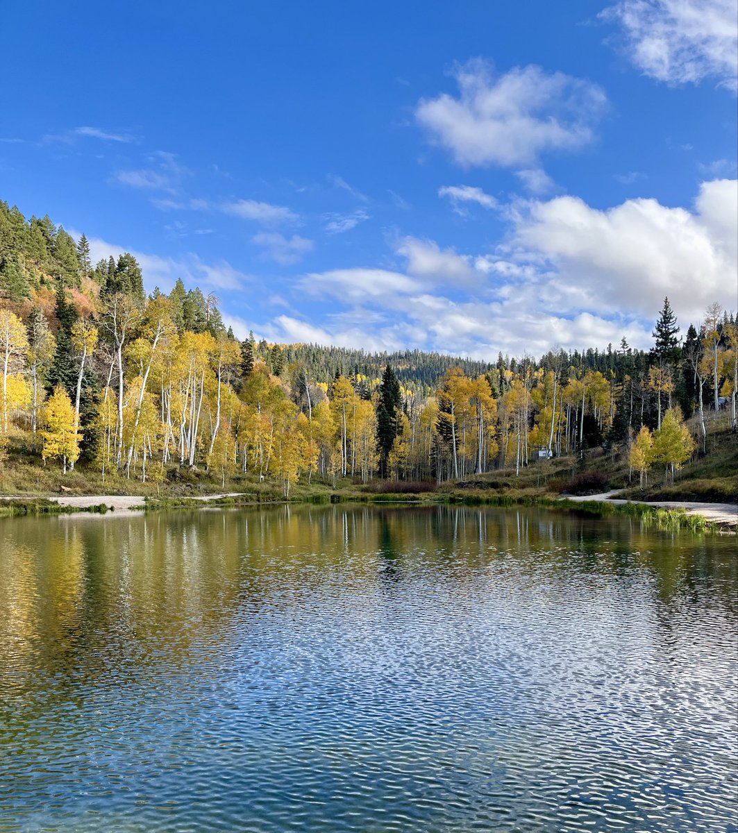 bchambers1's tweet image. Cedar City Utah was showing off! Wow! 

#UtahOutdoors #SUU #FallColors @CedarCityUtah @SUUThunderbirds