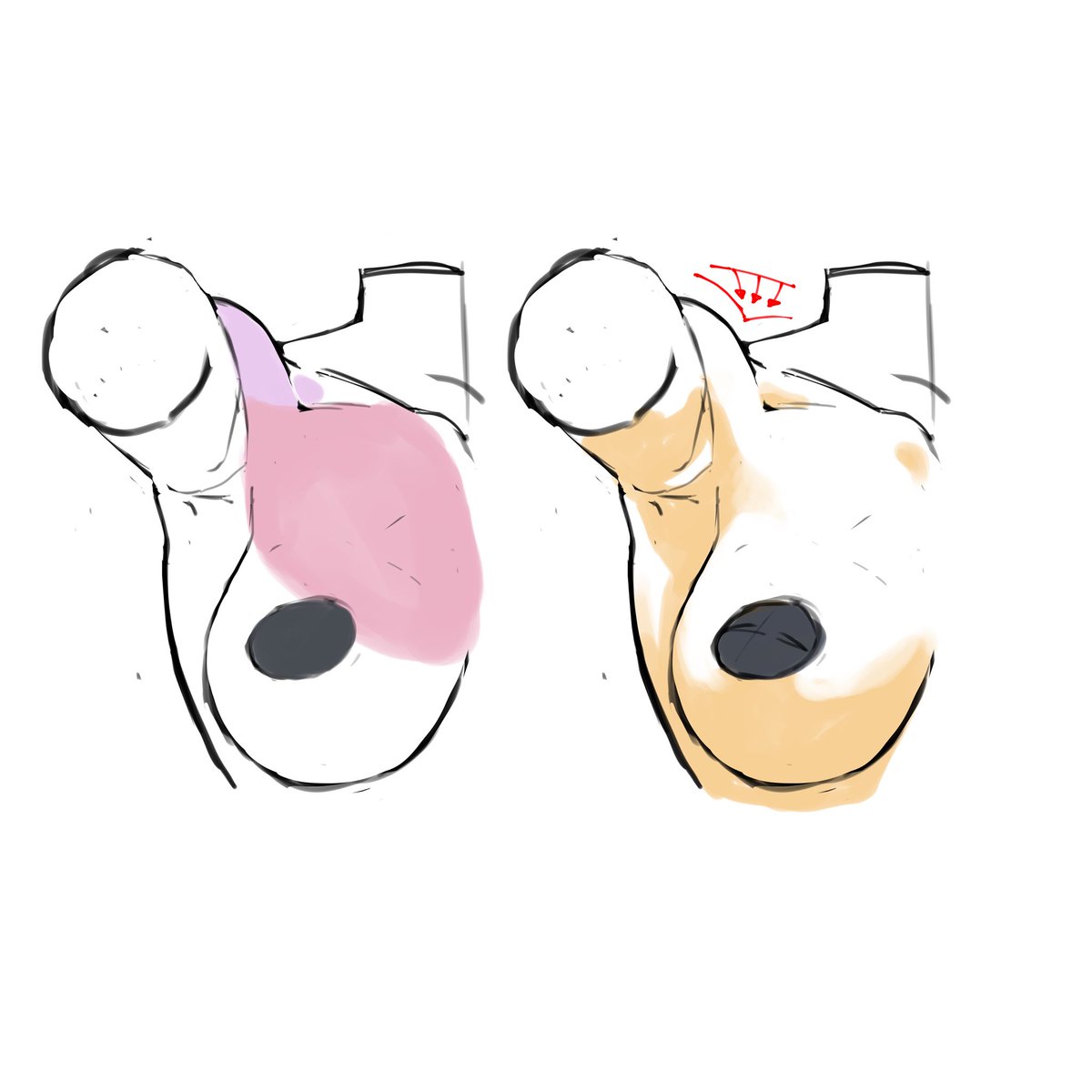 diaverik's tweet photo. also, this little ‘hole’ that forms under the clavicle when the shoulder is raised and the pectoral is pulled ‘forwards’— (armpit guide, preview 4) https://t.co/jKhYzuAhqz