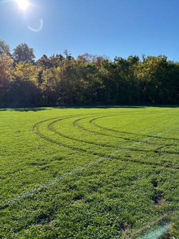 We’re disappointed to share that the Brant Onondaga Cricket Field has experienced repeated vandalism. 🏏

These acts damage public spaces and take away from community enjoyment.

If you see suspicious activity, contact the OPP (1-888-310-1122) or Crime Stoppers (1-800-222-TIPS).