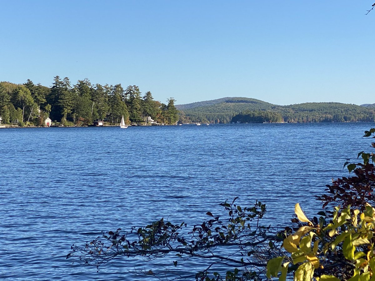 Kevin_McKernan's tweet image. I feel like we just warmed up and then went to bed.

Next time we’ll explore the shit show of peer review and post peer review mobs.
My calendar is a bit nutty for the next few weeks but will resurface for another one.

It’s gorgeous on Lake Winni right now.

@Campnakamoto