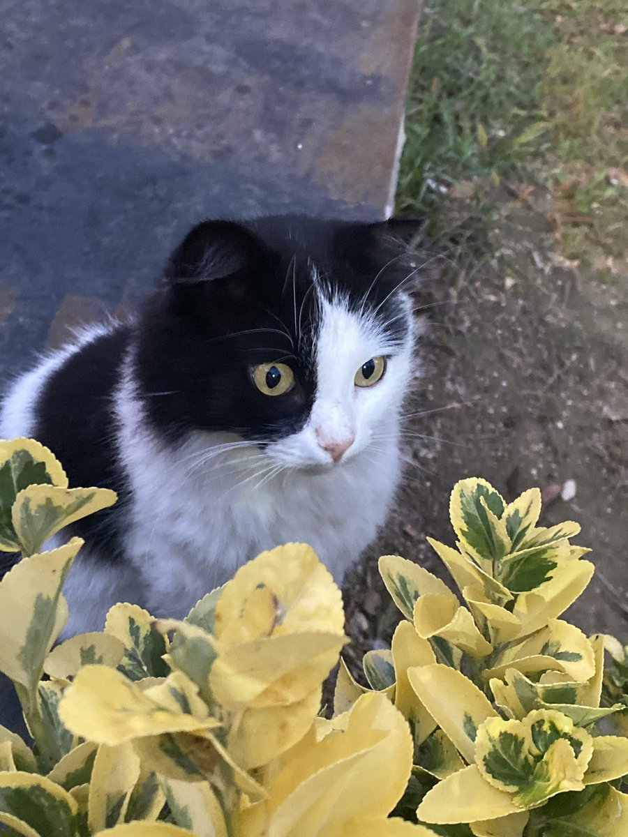 Güzel ve farkında 🤍🖤