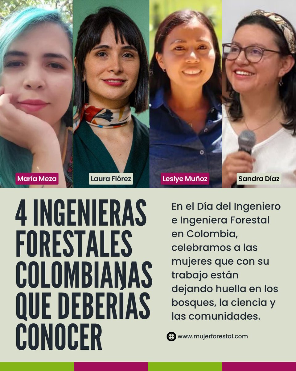 Lili Cruz tweet media