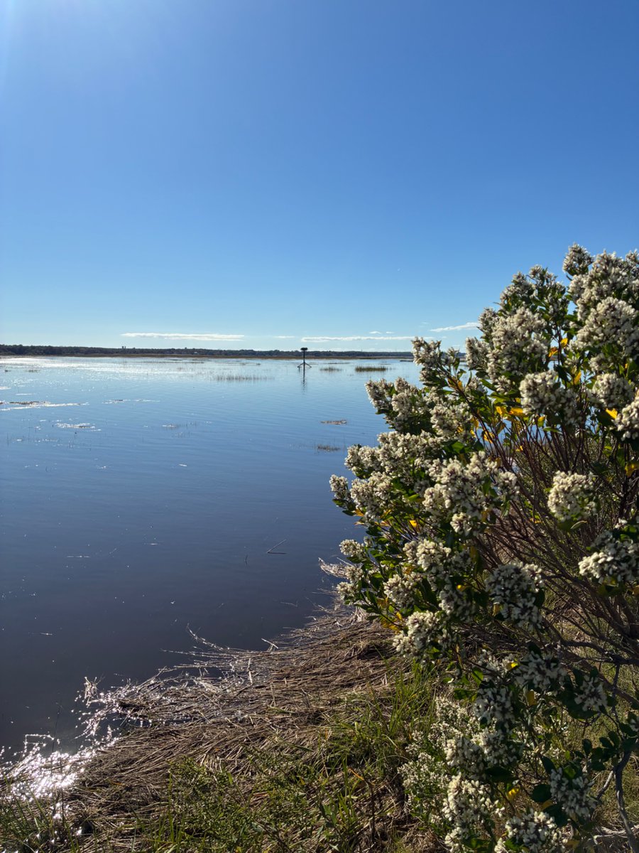 CapeCodBars's tweet image. Calm before the storm #Yarmouth #CapeCod