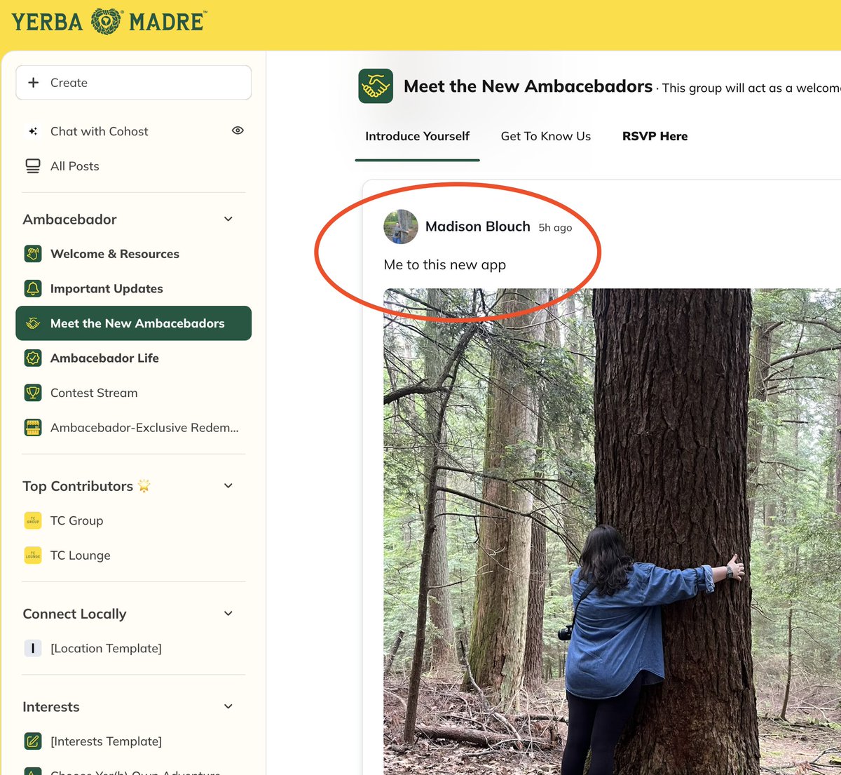 Gina Bianchini tweet media