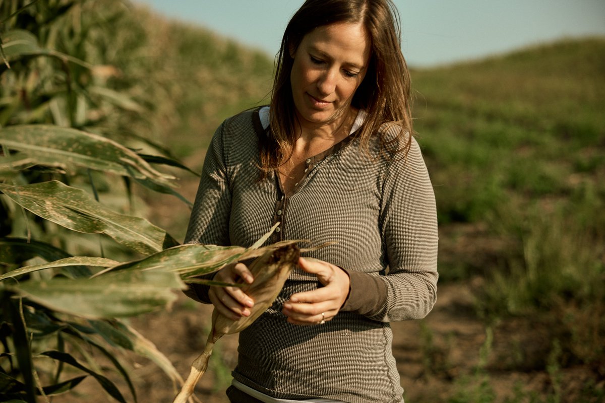 CommonGround tweet media