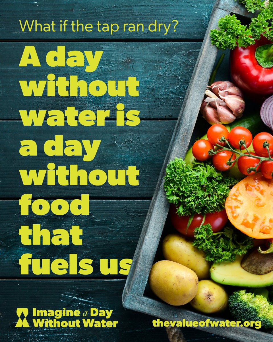 MSDProjectClear's tweet image. #ImagineADayWithoutWater is on October 16th! 

Just like food fuels our bodies, water fuels our communities. Imagine a day without water — no cooking, no cleaning, no hydration. It’s essential to life, health, and growth.

Let’s not take it for granted. #ValueWater
