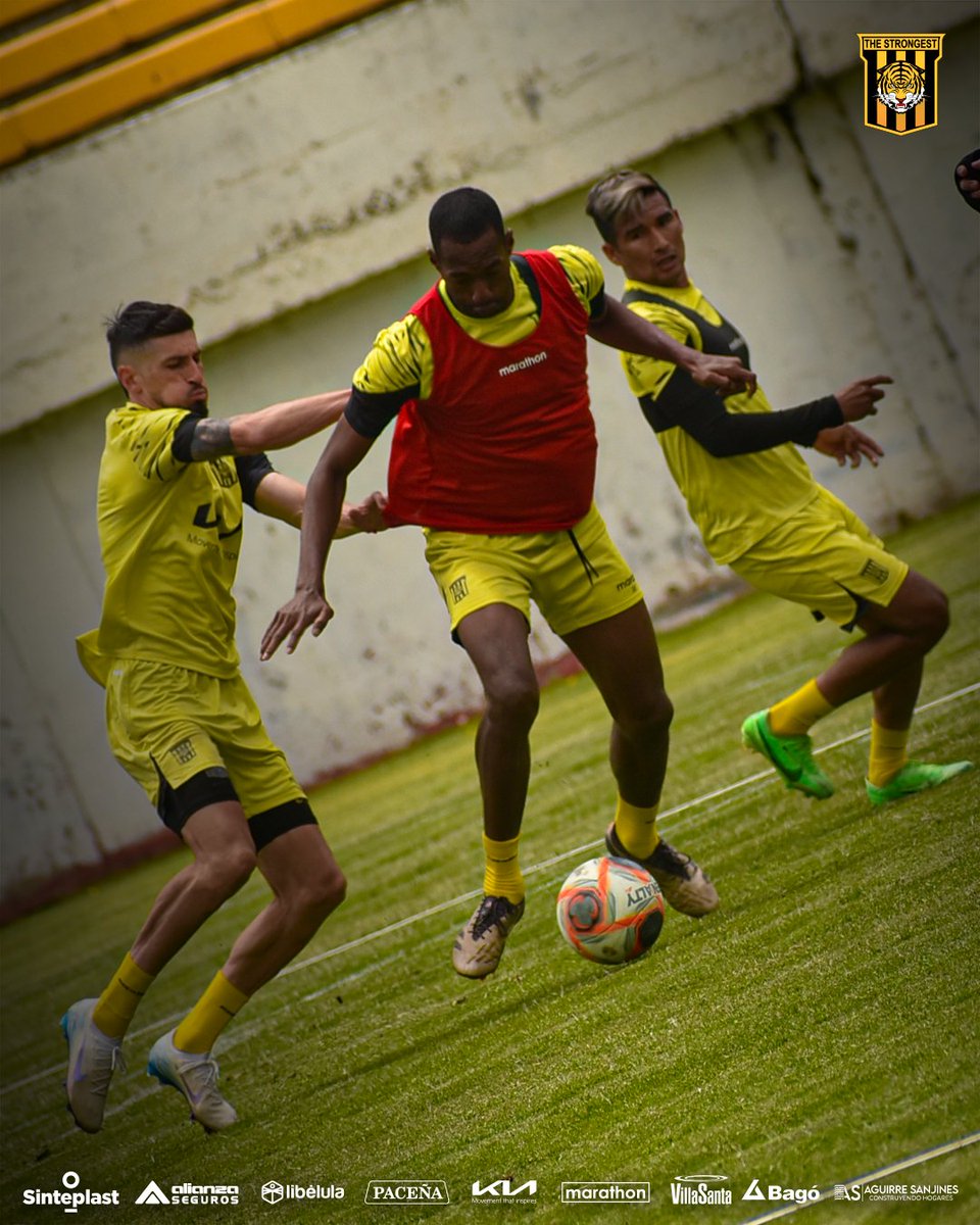 ClubStrongest's tweet image. 🟡⚫ Unidos en el trabajo, fuertes en la cancha.
El Tigre sigue preparándose con la misma garra de siempre 🐯