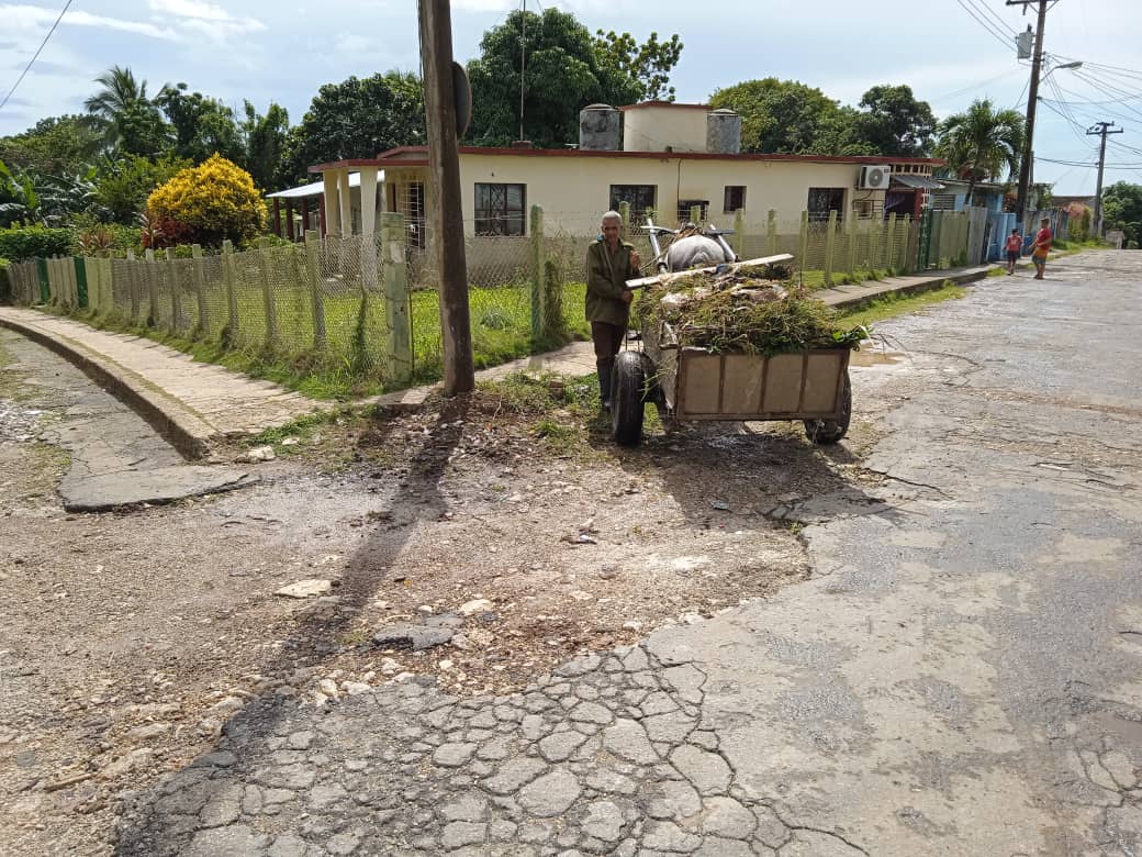 Así quedaron las calles y avenidas en #Madruga después de una ardua jornada de higienización. 
#JuntosPorMayabeque 
#Mayabeque #DeZurdaTeam