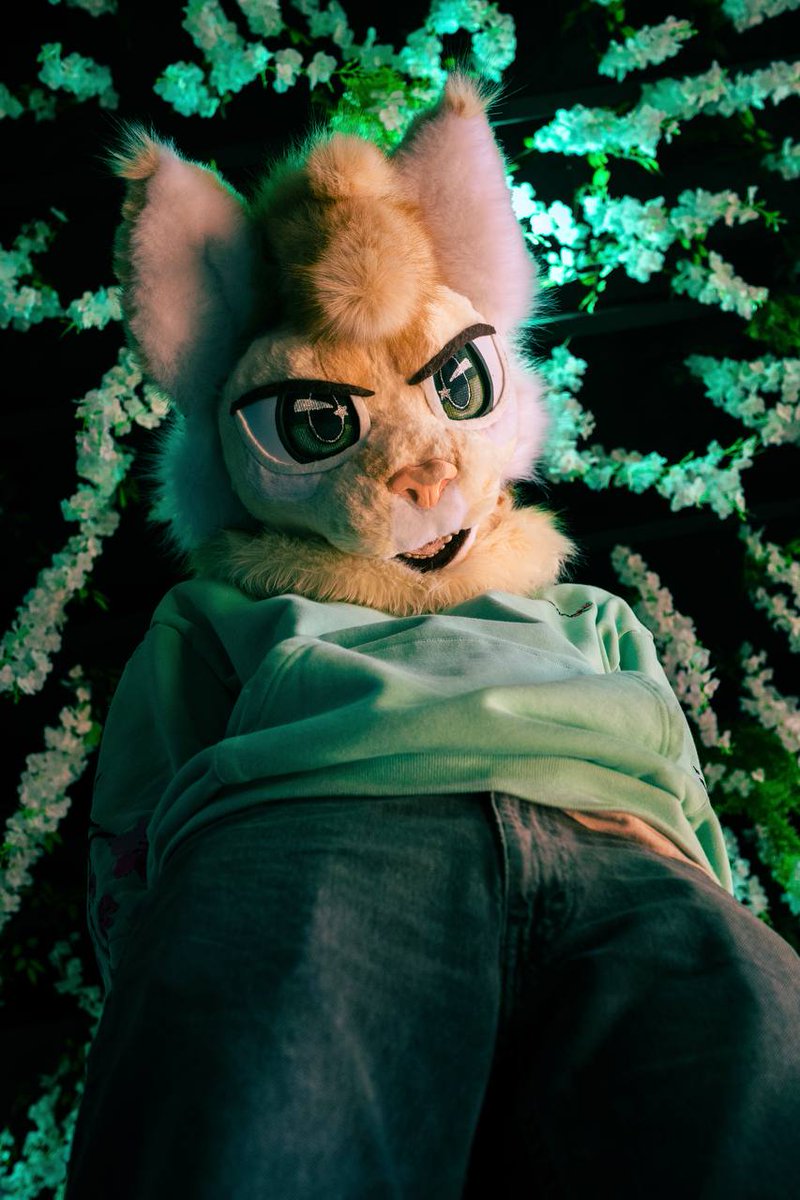 Am I a good kitty? :3 #FursuitFriday 📸middymints