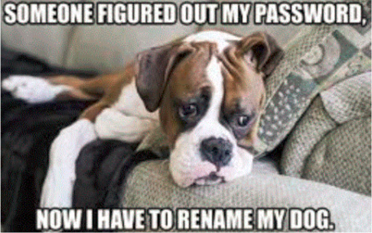AndromedaTS's tweet image. What are your company standards for passwords?
If you don't have a set and monitored policy, you are leaving an open door for a cyber attack.
hubs.la/Q03M5H8j0
#msp #computerhelp #itservice