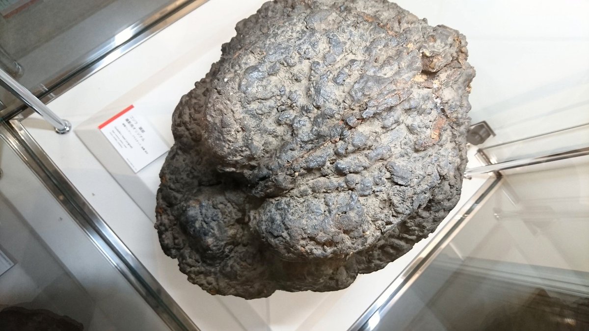 The only surviving head from a Showa Godzilla suit belongs to DaisensoGoji (1965) although some suggested it may be the replacement head from 1966.
Not sure about that but it's freaky how due to deterioration it totally looks like 1973 MegaroGoji from one side. What sorcery.