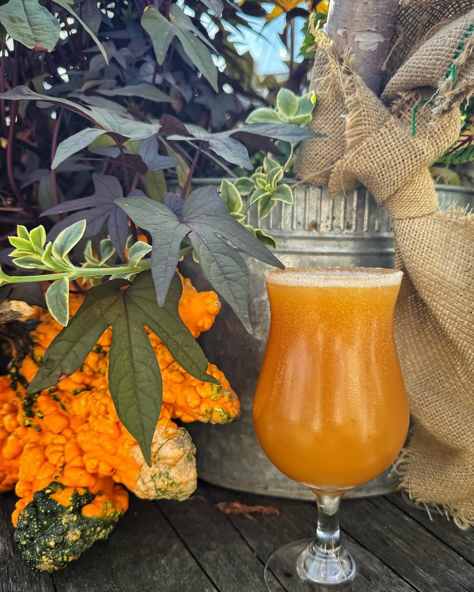 The temperature is cooling down! If you are in the mood for an autumn ale, check out some of the Oktoberfest and Pumpkin beers on tap in Stark County! 🍻🍂

visitcanton.com/blog/seasonal-…